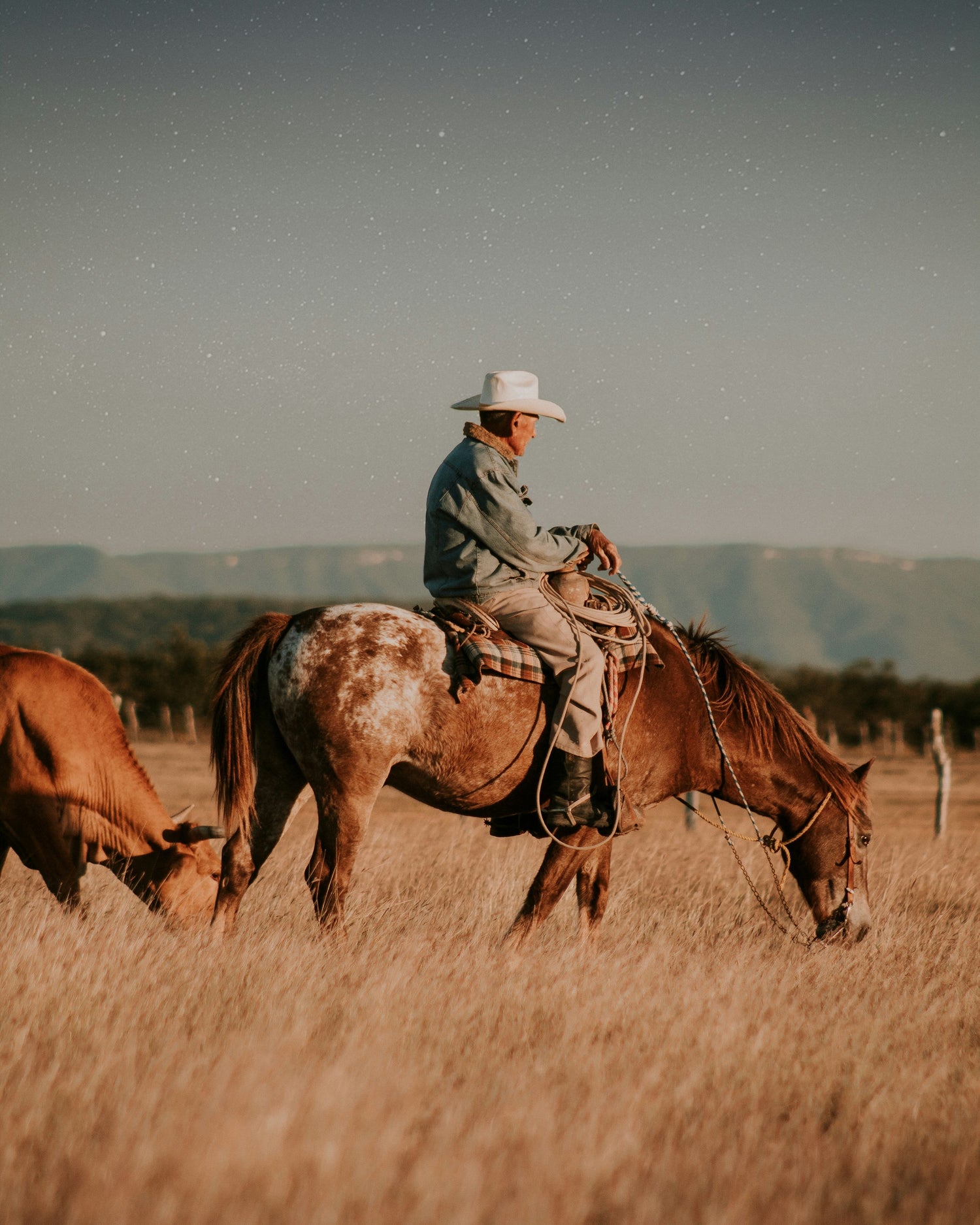 Reverie Edit: A Western Reverie