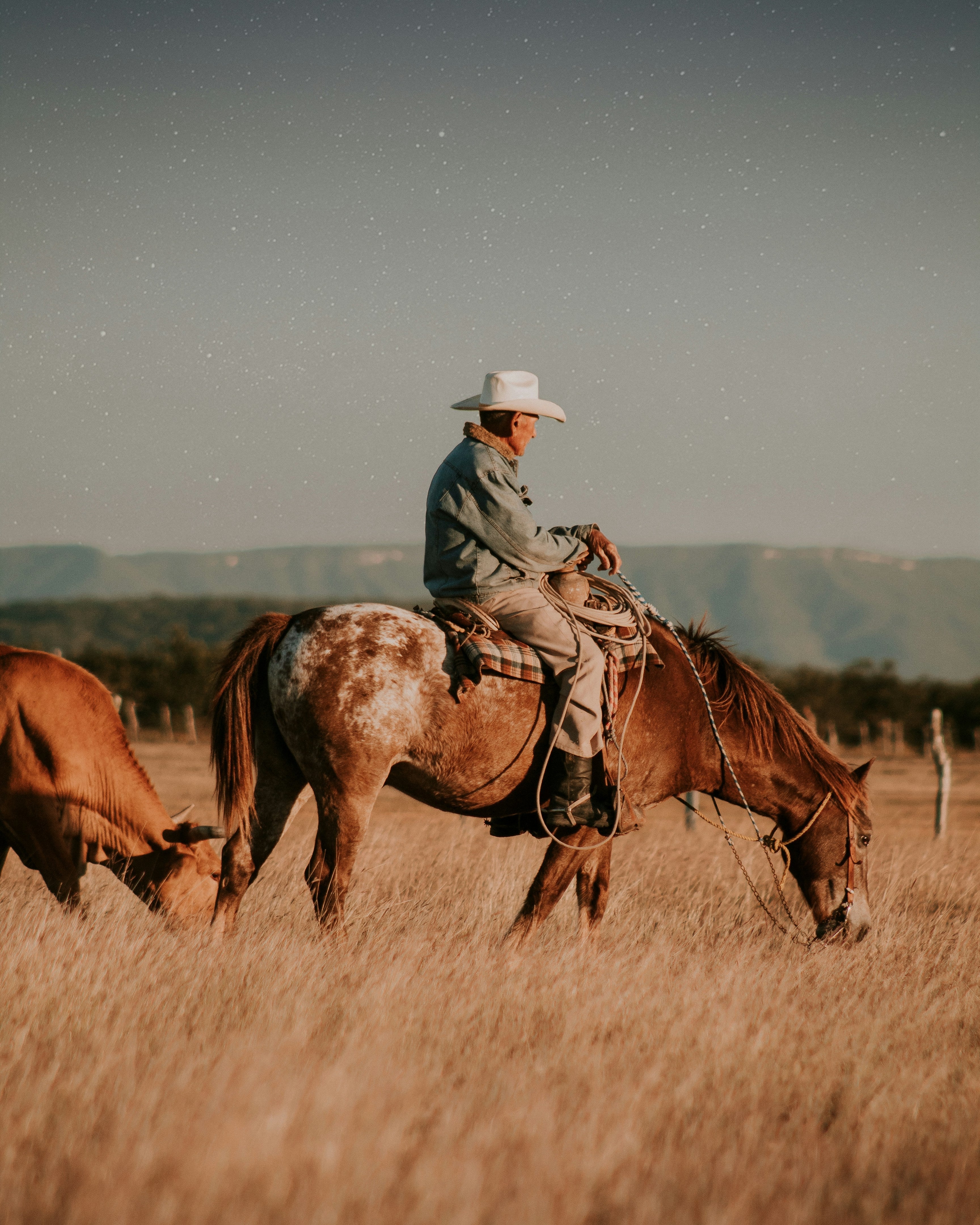 Reverie Edit: A Western Reverie