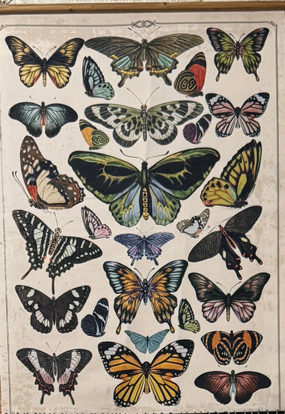 Butterfly Scroll Wall Tapestry