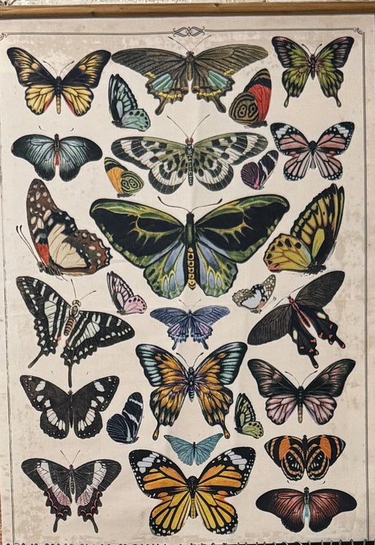 Butterfly Scroll Wall Tapestry