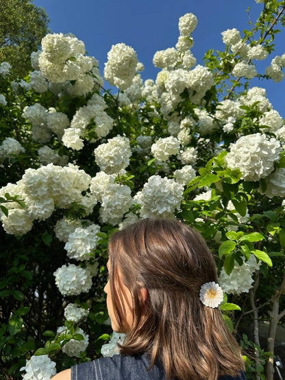 Mini Daisy Hair Clip