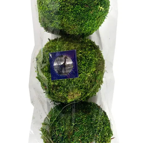 Decorative Moss Balls 3-Pack