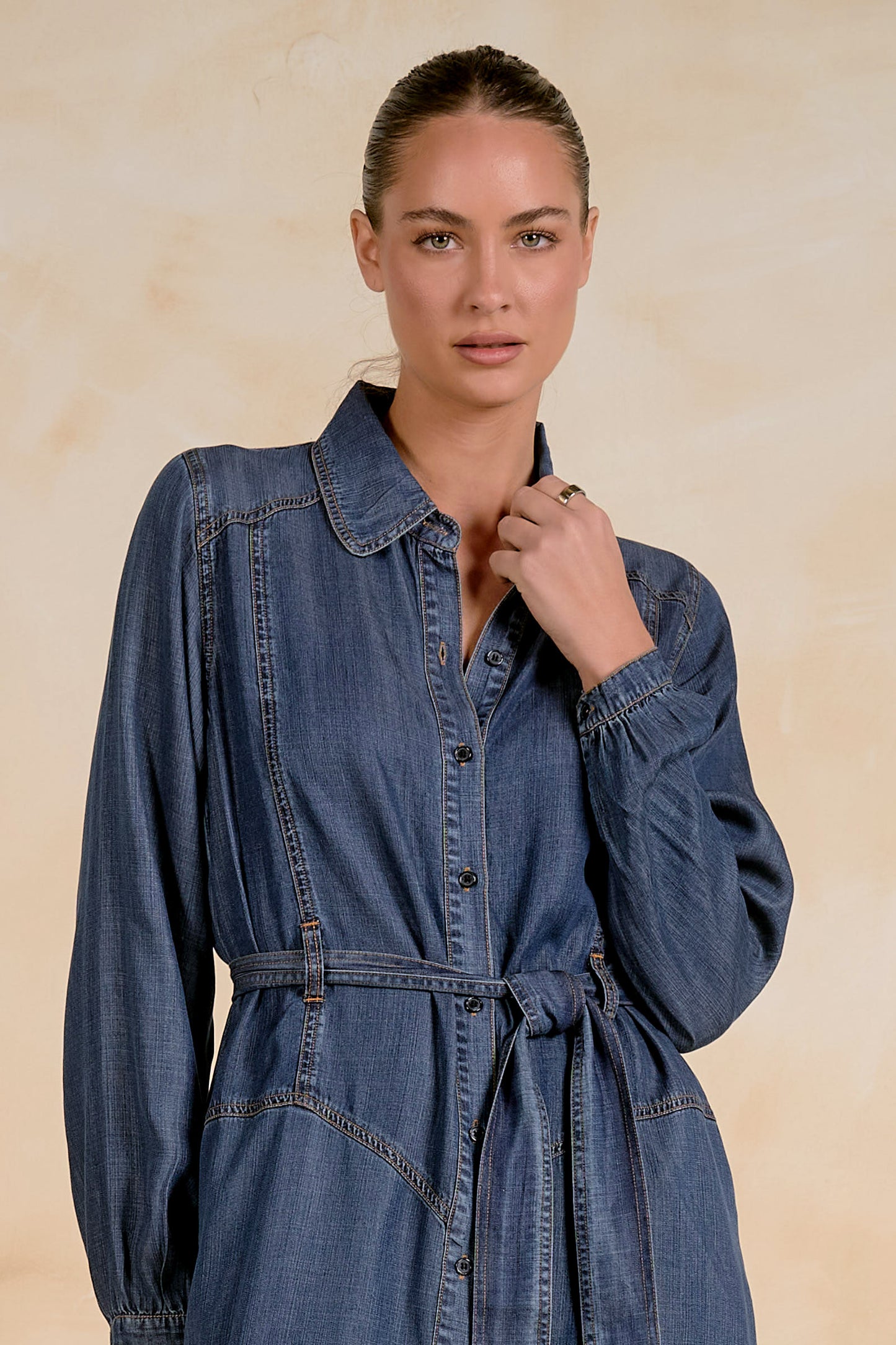 Stephanie Belted Denim Dress
