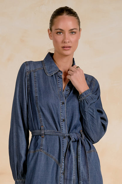 Stephanie Belted Denim Dress